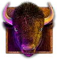 Bison
