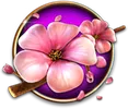 Cherry Blossom