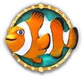 Clownfish