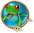 Tree Frog