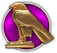Falcon