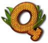 Q