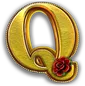 Q