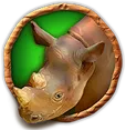Rhino