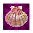 Scallop Shell Scatter